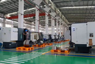 新起點,新征程 科洋科技順利完成工廠智能化升級